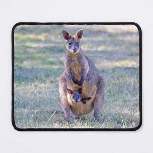 Item preview, Swamp Wallaby & Joey designed and sold by GaryParnell.
