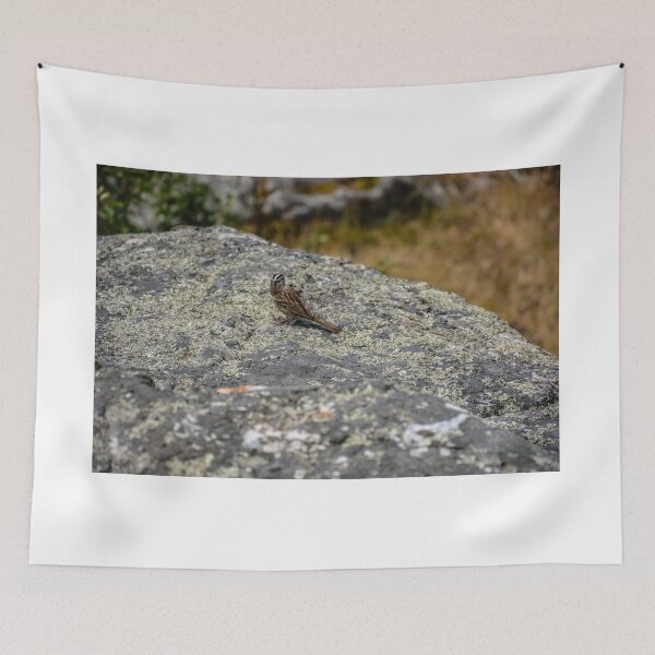 Item preview, Chickadee on a Rock designed and sold by Tpeters745.