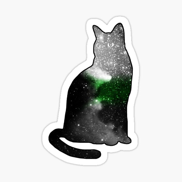 demiromantic pride space kitty Sticker