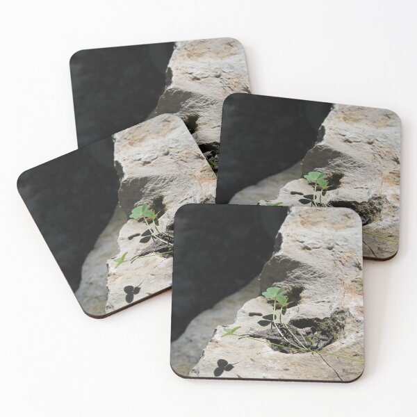 Item preview, Isolated Growth designed and sold by TiffanyMaeDesign.