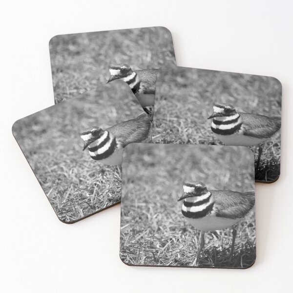 Item preview, Mama Killdeer Bird designed and sold by Cynthia48.