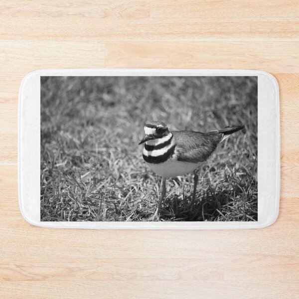 Item preview, Mama Killdeer Bird designed and sold by Cynthia48.