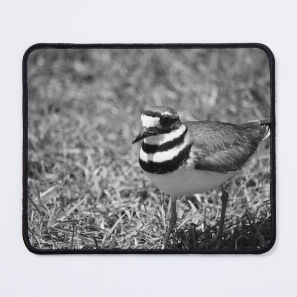 Item preview, Mama Killdeer Bird designed and sold by Cynthia48.