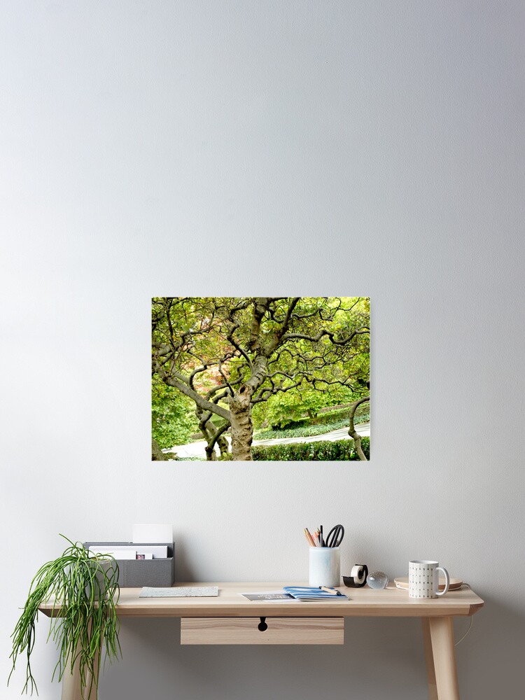 Thumbnail 2 of 3, Poster, Squiggly Tree designed and sold by ADougherty.
