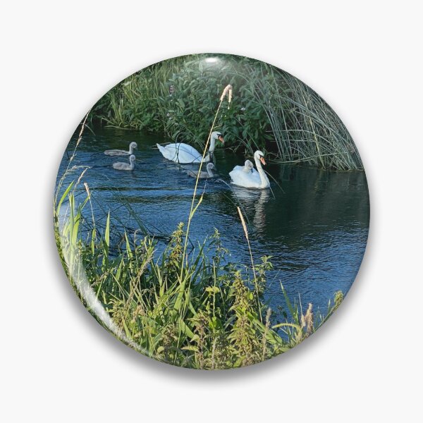 Item preview, Family of Swans, Titchmarsh Nature Reserve, Northamptonshire designed and sold by Kate Anderson Art.