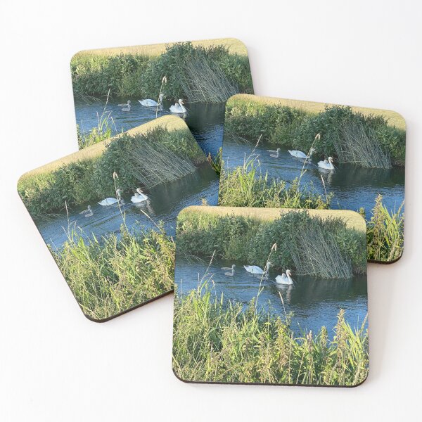 Item preview, Family of Swans, Titchmarsh Nature Reserve, Northamptonshire designed and sold by Kate Anderson Art.