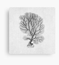 Schwarze Korallen Seafan Illustration nautische Natur Dekor Metalldruck