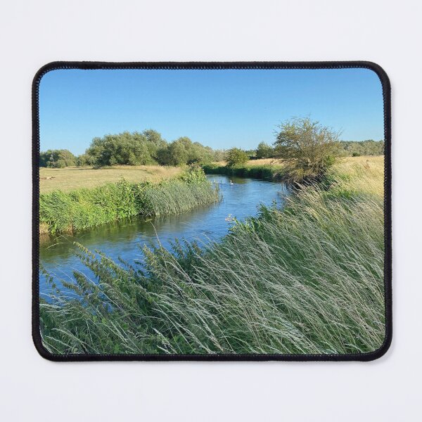 Item preview, Family of Swans, Titchmarsh Nature Reserve, Northamptonshire designed and sold by Kate Anderson Art.