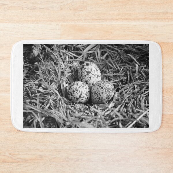 Item preview, Killdeer Nest With Three Eggs designed and sold by Cynthia48.