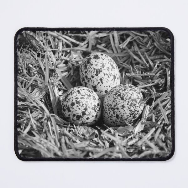 Item preview, Killdeer Nest With Three Eggs designed and sold by Cynthia48.