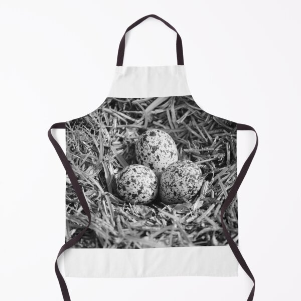 Item preview, Killdeer Nest With Three Eggs designed and sold by Cynthia48.
