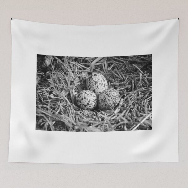 Item preview, Killdeer Nest With Three Eggs designed and sold by Cynthia48.