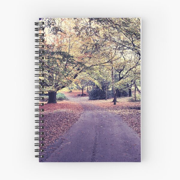 Item preview, Autumn Pathway designed and sold by Rachel J Bowler.