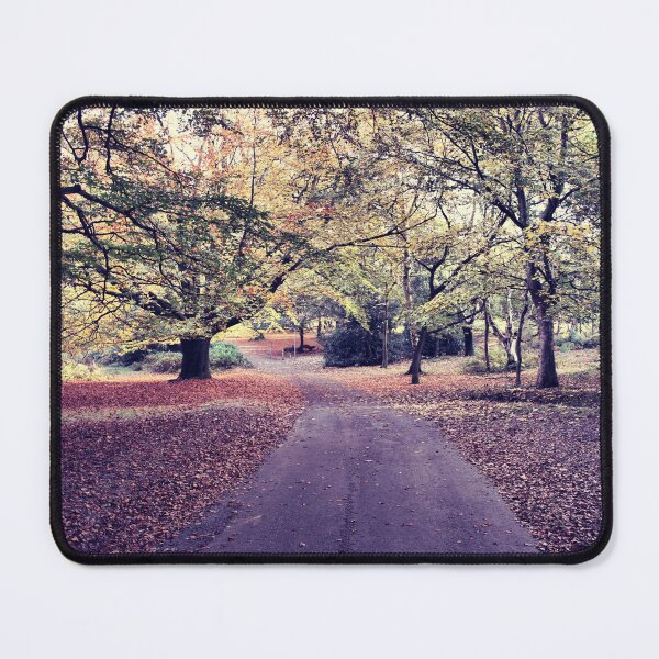 Item preview, Autumn Pathway designed and sold by Rachel J Bowler.