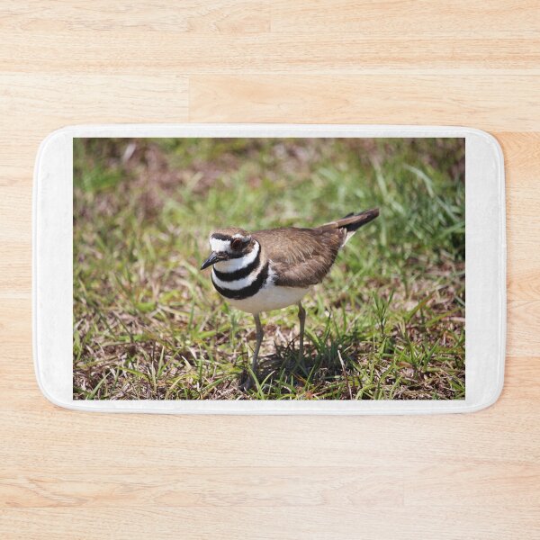 Item preview, Killdeer Standing In The Grass designed and sold by Cynthia48.