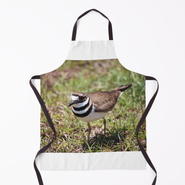 Item preview, Killdeer Standing In The Grass designed and sold by Cynthia48.