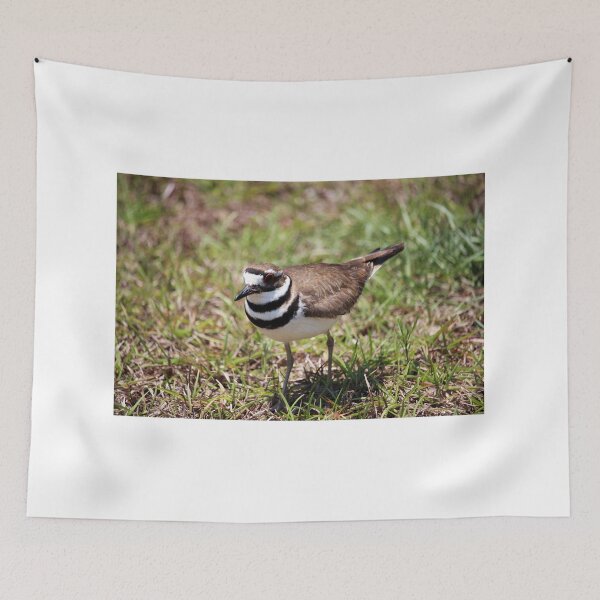 Item preview, Killdeer Standing In The Grass designed and sold by Cynthia48.