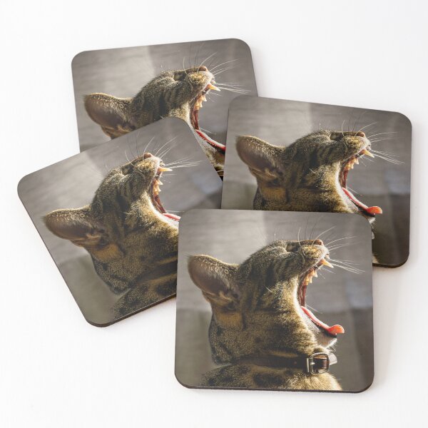 Item preview, Roar of the House Cat designed and sold by Claudio Barrientos Photography.