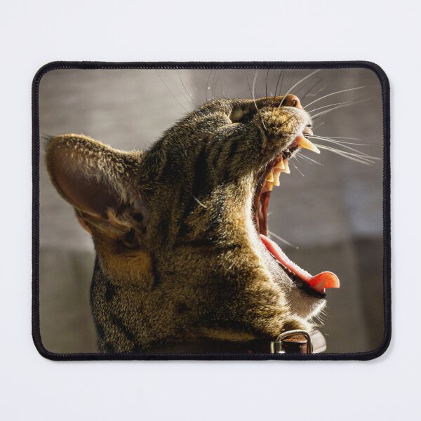 Item preview, Roar of the House Cat designed and sold by Claudio Barrientos Photography.