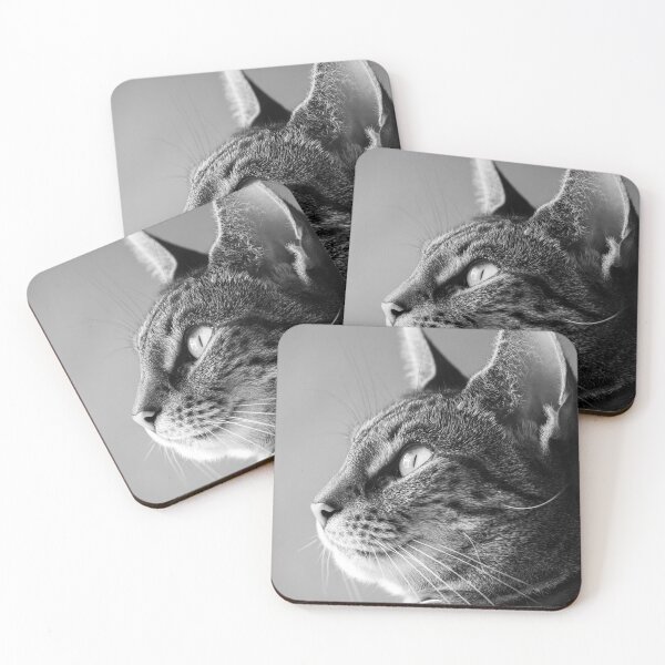 Item preview, Side Glance designed and sold by Claudio Barrientos Photography.
