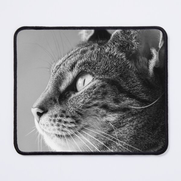 Item preview, Side Glance designed and sold by Claudio Barrientos Photography.