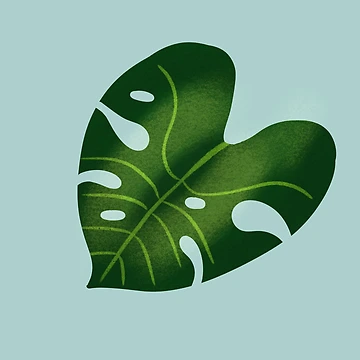 Artwork thumbnail, Monstera Magic  by Riley Ray Designs 