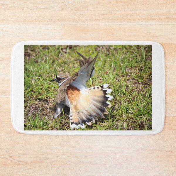 Item preview, Killdeer Broken Wing Dance designed and sold by Cynthia48.