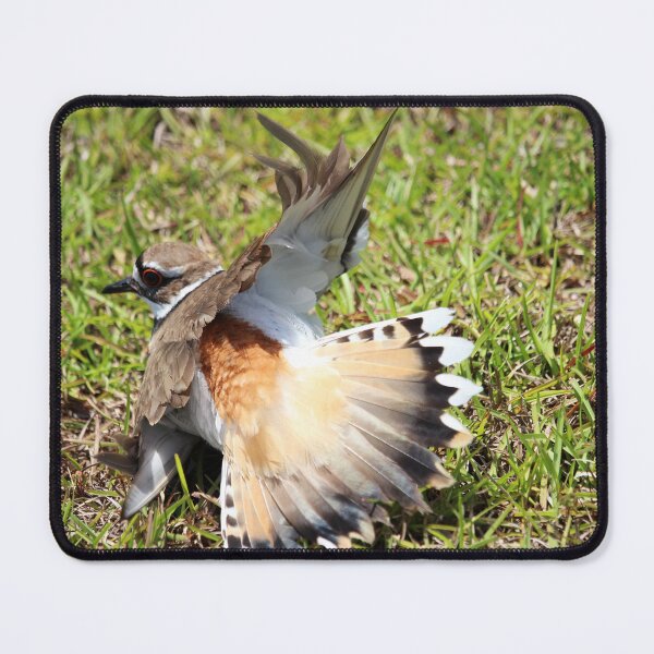 Item preview, Killdeer Broken Wing Dance designed and sold by Cynthia48.