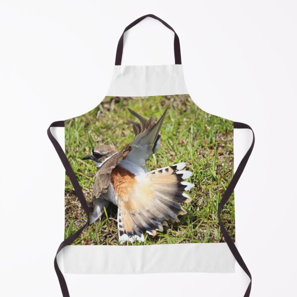 Item preview, Killdeer Broken Wing Dance designed and sold by Cynthia48.