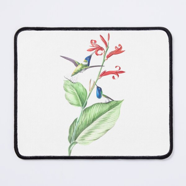 Item preview, Vintage botanical painting with blue throated hummingbirds and red flowers designed and sold by Christies Creations.