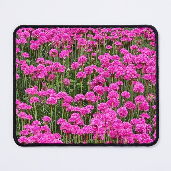 Item preview, Sea Pink designed and sold by Alla Gill.