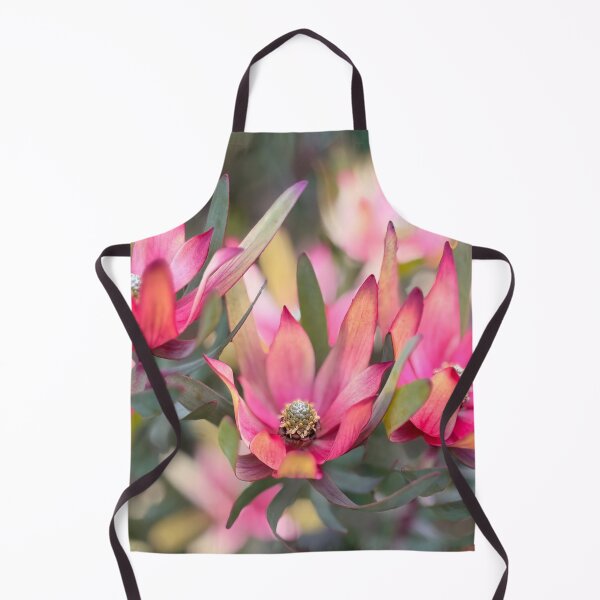 Item preview, Beautiful Leucadendrons designed and sold by smh2.