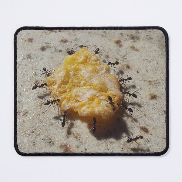 Item preview, Cooperative Ants I designed and sold by MAMA LXXVIII: Art by Marsailhe Milward.