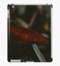 Butterfly iPad Case/Skin