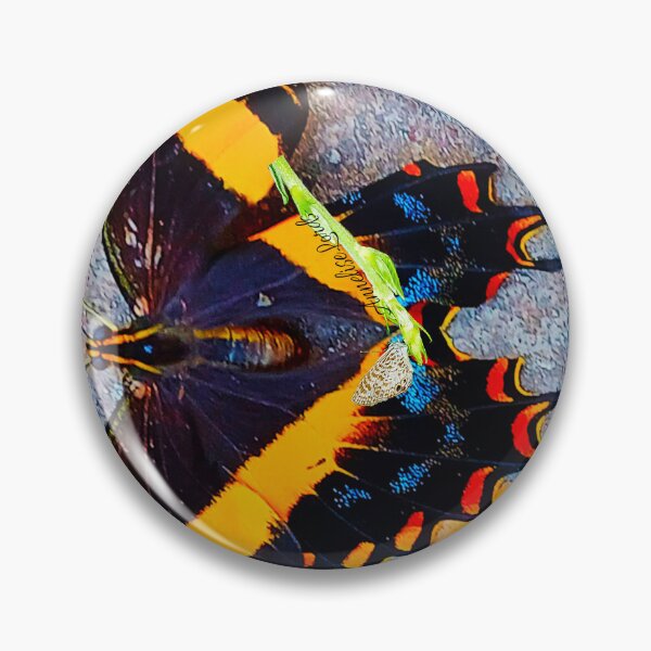 Item preview, Cuban Swallowtail Butterfly on the Wall RZ 3/25 designed and sold by Unlimited Imagination .