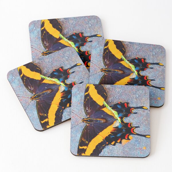 Item preview, Cuban Swallowtail Butterfly on the Wall RZ 3/25 designed and sold by Unlimited Imagination .