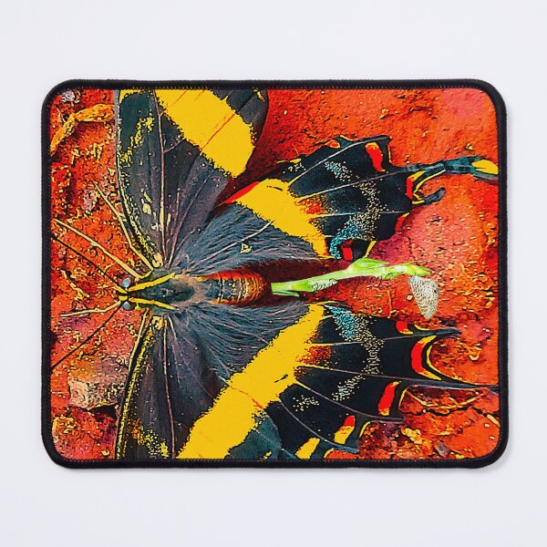 Item preview, Cuban Swallowtail Butterfly Resting on Orange Clay RZ 3/25 Side Phone Case designed and sold by Unlimited Imagination .