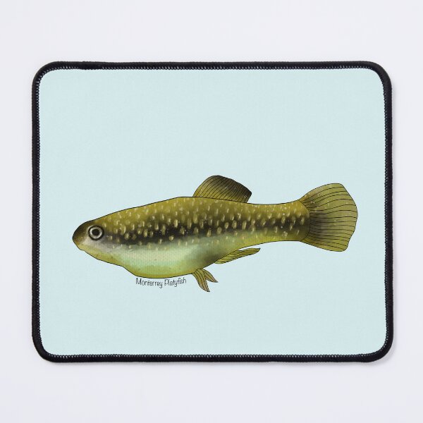 Item preview, Monterrey Platyfish Painting designed and sold by Meganemer4.
