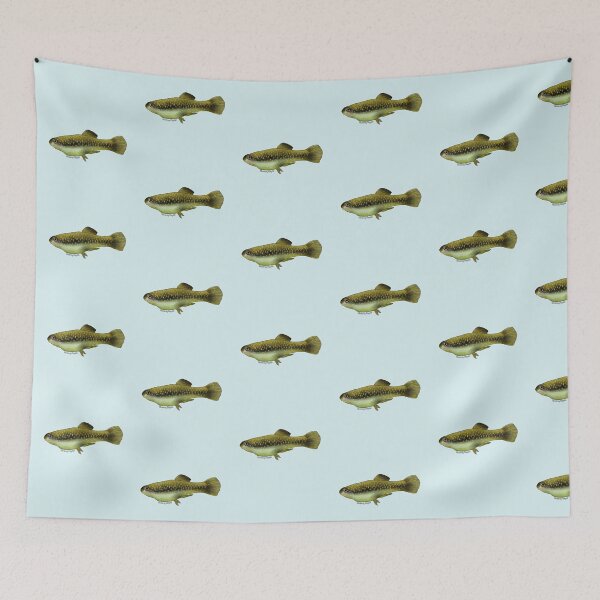 Item preview, Monterrey Platyfish Painting designed and sold by Meganemer4.