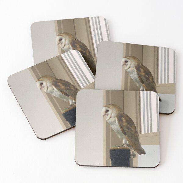 Item preview, Chris the barn owl  designed and sold by FEA22.