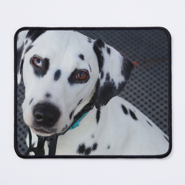 Item preview, Dalmatian designed and sold by JenGo Creative.