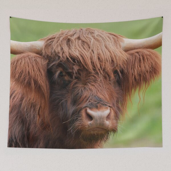 Item preview, Face of the Highlands designed and sold by rawshutterbug.