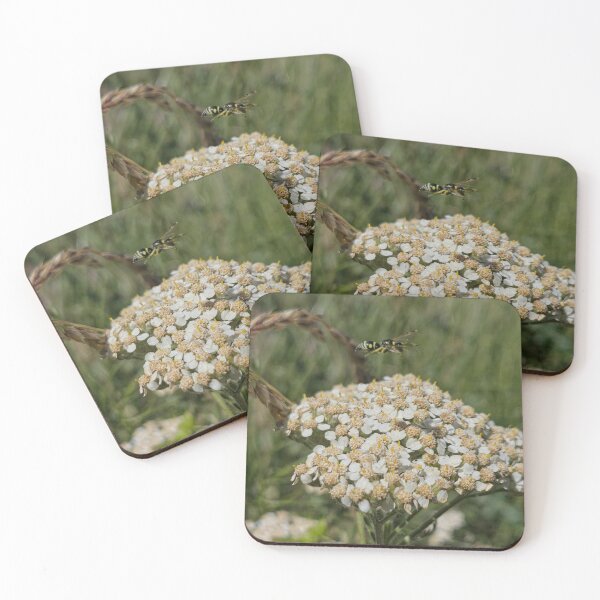 Item preview, Nature’s Harmony in Motion designed and sold by Betsy Phillips.