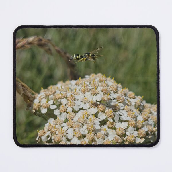 Item preview, Nature’s Harmony in Motion designed and sold by Betsy Phillips.