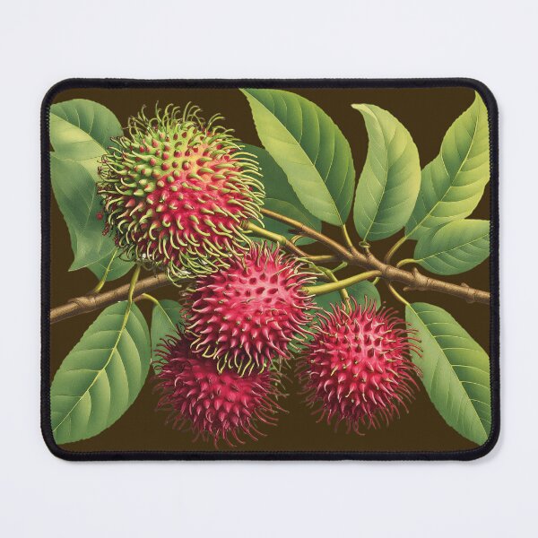 Item preview, Rambutan Fruit (Taylor's Version) designed and sold by Print As You Are.