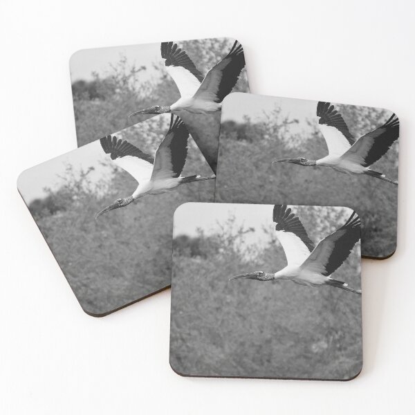 Item preview, Flying Wood Stork Black And White  designed and sold by MercerImages.