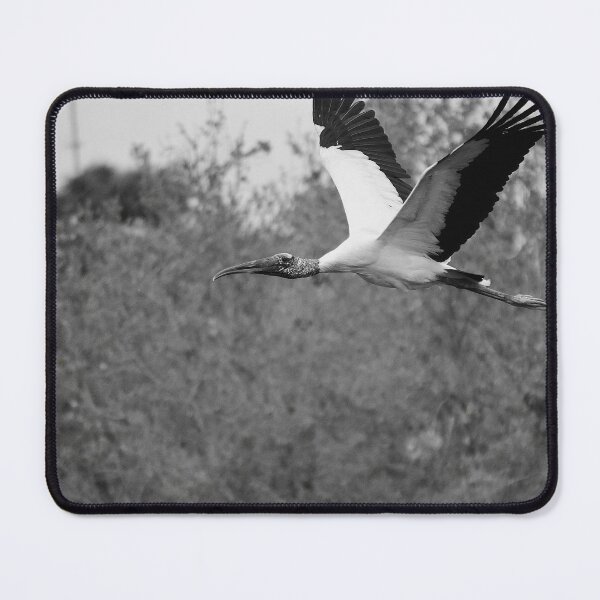 Item preview, Flying Wood Stork Black And White designed and sold by MercerImages.