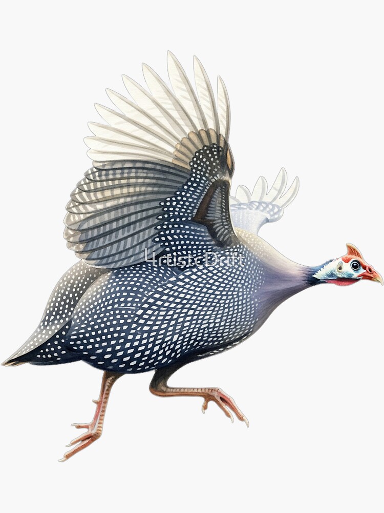 Thumbnail 3 of 3, Sticker, Guinea Fowl designed and sold by 4rtistcDrift.