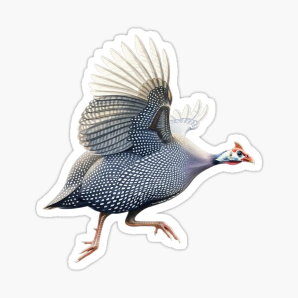 Item preview, Guinea Fowl designed and sold by 4rtistcDrift.