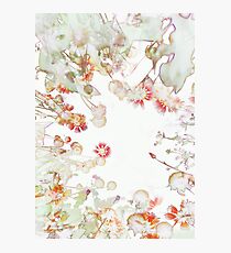 Ethereal Summer Garden Photographic Print